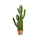 Cactus artificiel - 33,5"