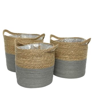 panier jacinthe anses bleu naturel 15''