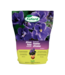 Terreau violettes africaines