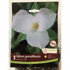 Trillium Grandiflorum (paquet de 2)