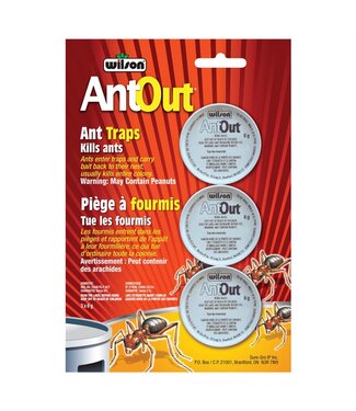 Wilson Trappes a fourmis 3x6g