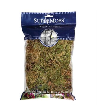 SuperMoss Mousse de forêt en sa