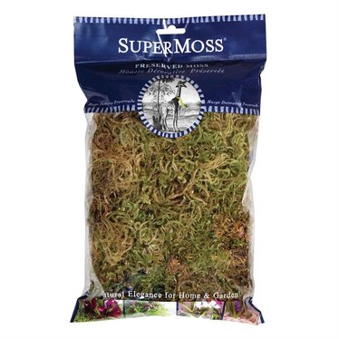 SuperMoss Mousse de forêt en sac 2 oz