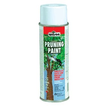 Wilson Peinture d'émondage 200 g