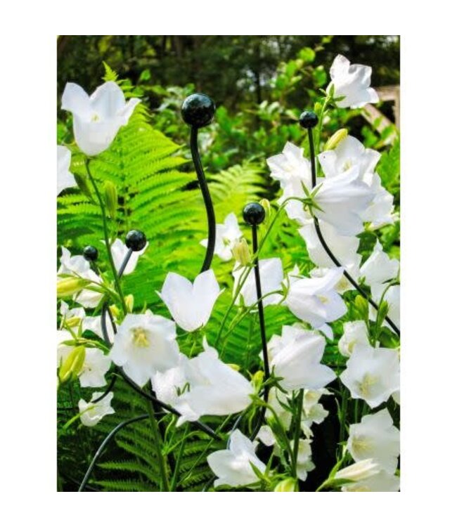 Peacock Twiggy spiral silver 185cm