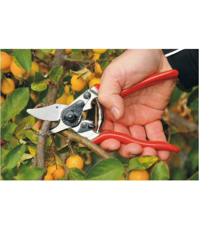 Felco Felco Sécateur ergonomique 6 | Compact, léger et fabriqué en Suisse