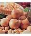 Oignons Espagnols pqt 80