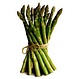 Asperge Millenium racines nues pq t5