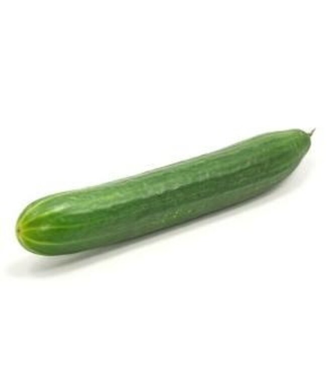 Concombre anglais 4.5po