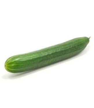 Concombre anglais 11 cm