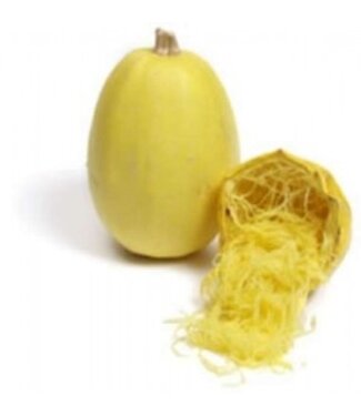 Courge spaghetti 4 po