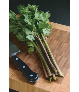 Celeri peppermint stick cel.10