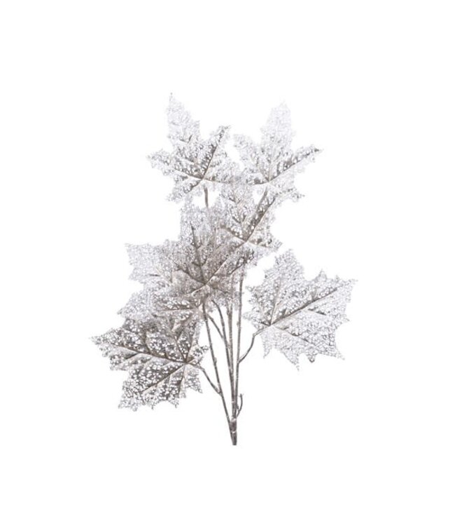 Tige feuilles d'érable argent