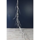 Branche enneigée blanc naturel