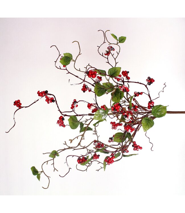 Tige enneigée baies rouges