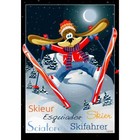 Drapeau - Le skieur