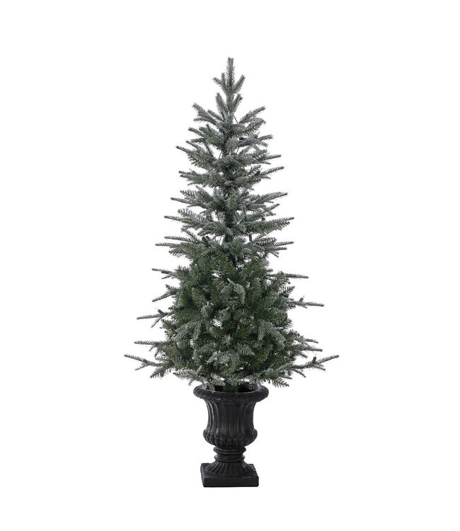 Sapin Canyon enneigé en pot 4 pi