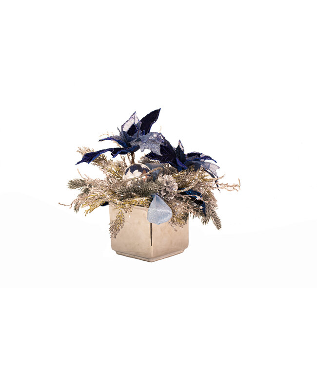 Arrangement poinsettia bleu