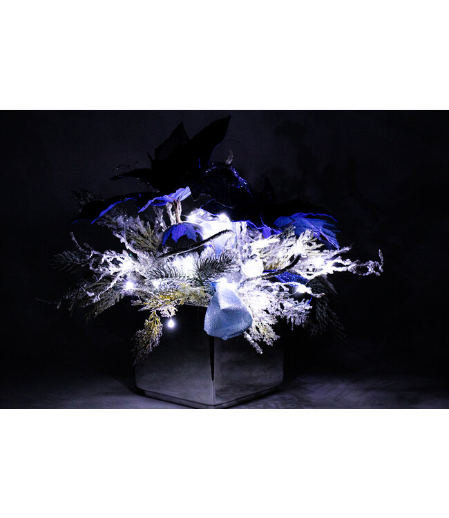 Arrangement poinsettia bleu