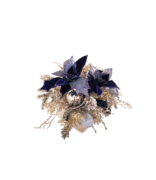 Arrangement poinsettia bleu