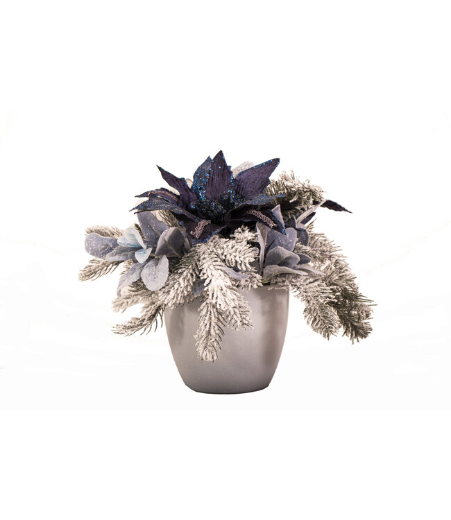 Arrangement Hiver Doux