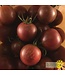 Ferme Tournesol Tomate cerise Black Cherry bio
