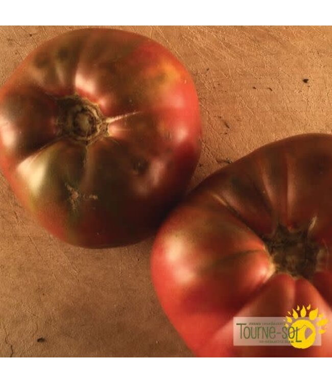 Tomate Mauve Cherokee Purple bio