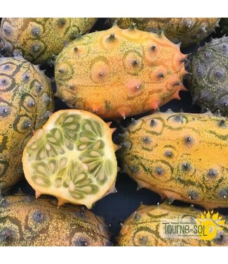 Ferme Tournesol Melon Kiwano bio