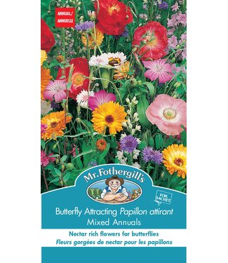 Papillon Attirant mixte