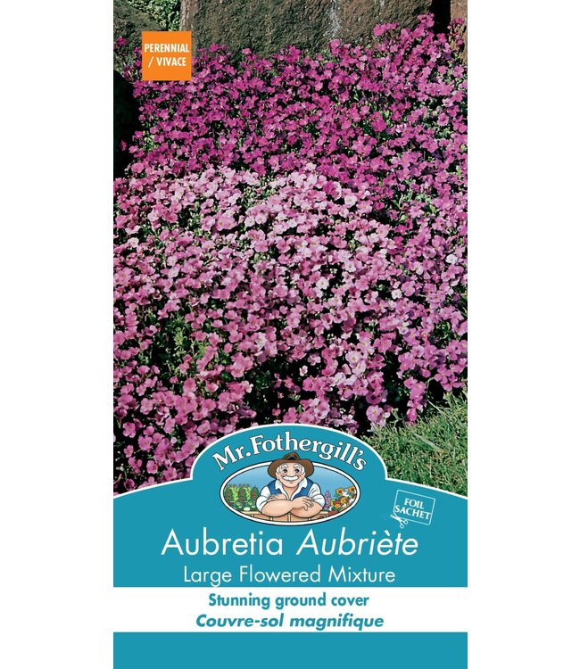 Aubrieta Large Mixture