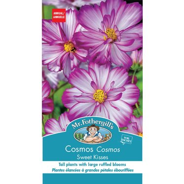 Mr. Forthergill's Cosmos Sweet Kisses