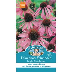 Mr. Forthergill's Echinacea