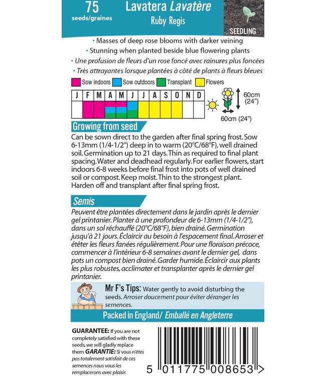 Mr. Forthergill's Lavatere Ruby Regis