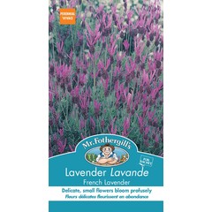 Lavande French Lavender