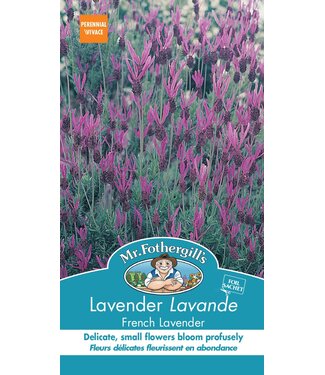 Mr. Fothergill's Lavande French Lavender