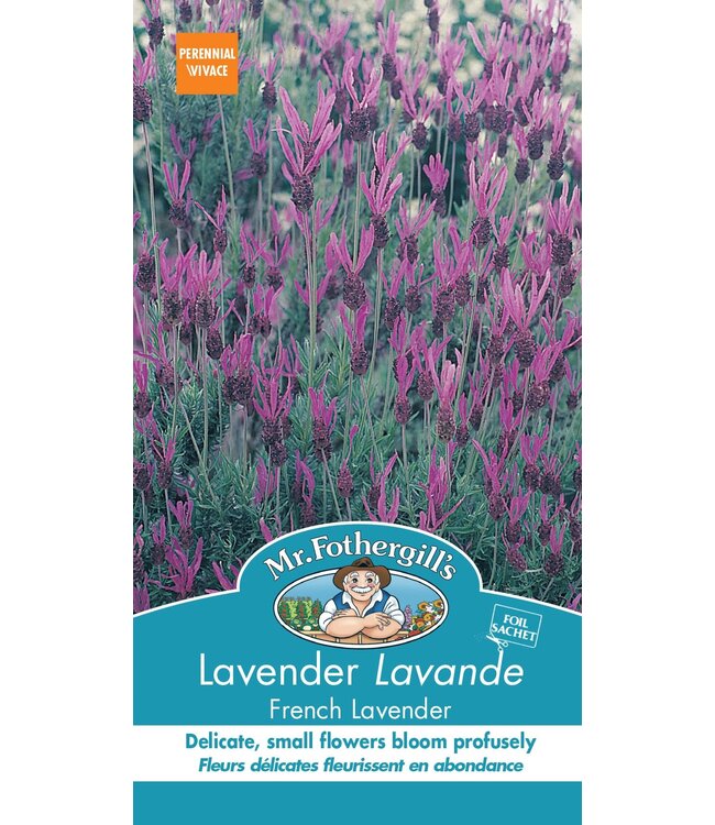 Lavande French Lavender