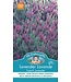 Mr. Fothergill's Lavande French Lavender
