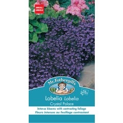 Mr. Forthergill's Lobelia Crystal Palace