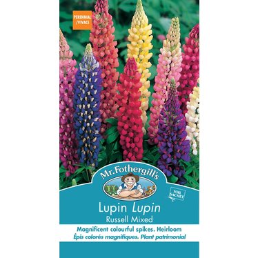 Mr. Forthergill's Lupin Russell Mixed
