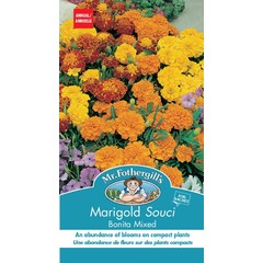 Mr. Forthergill's Marigold Bonita Mixed