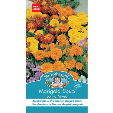 Mr. Forthergill's Marigold Bonita Mixed