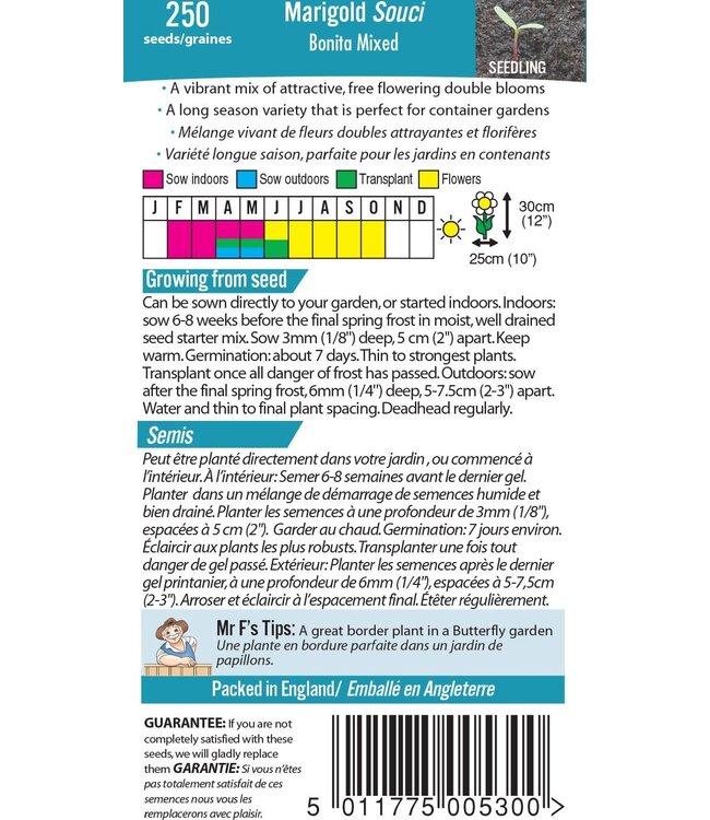 Marigold Bonita Mixed