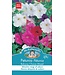 Mr. Forthergill's Petunia Balcony Choice Mixed
