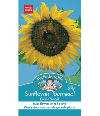 Mr. Fothergill's Tournesol Giant Single