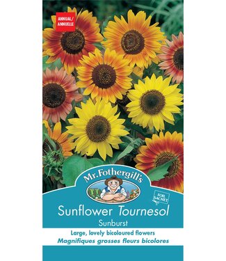 Mr. Forthergill's Tournesol Sunburst