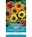 Mr. Forthergill's Tournesol Sunburst