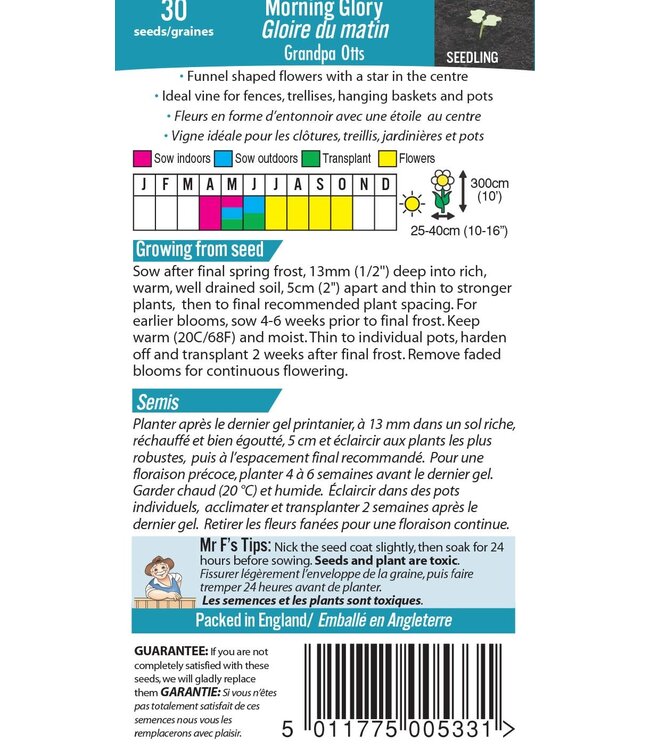 Mr. Fothergill's Gloire du matin Grandpa Otts
