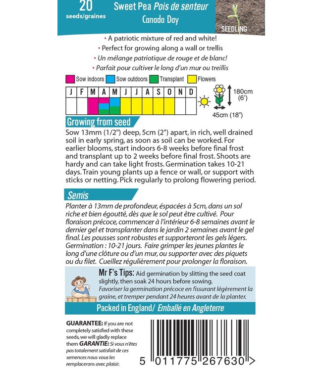 Pois de senteur Canada Day