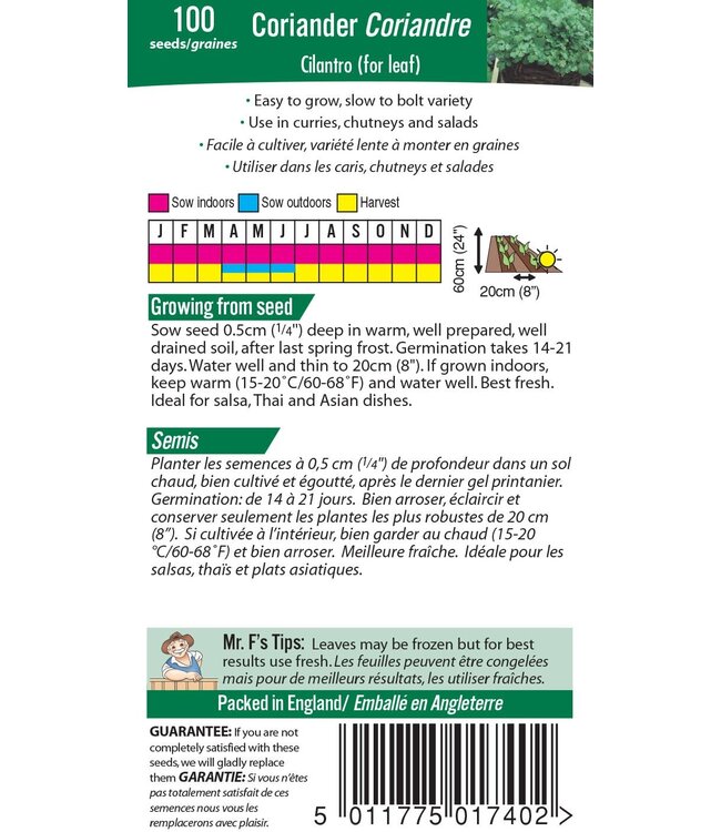 Coriandre Cilantro (pour feuille)