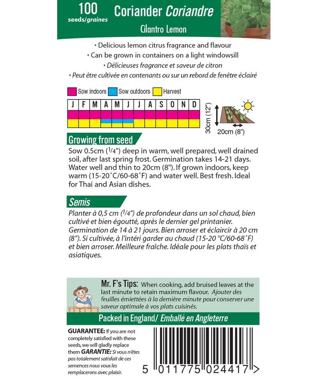 Coriandre Cilantro Citron